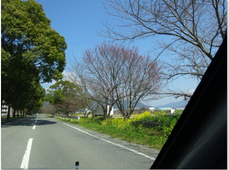 f0231709_20040020.gif