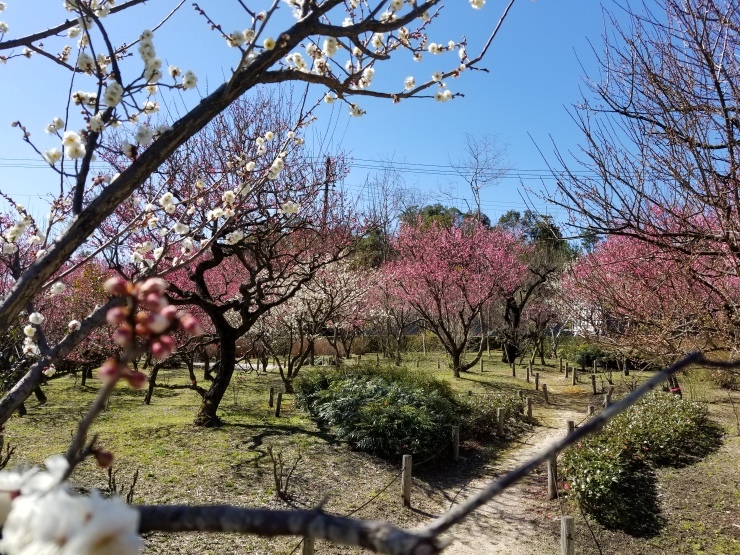 あれこれ_f0219710_19212879.jpg