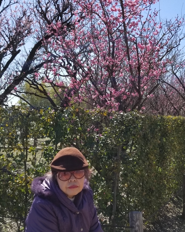 あれこれ_f0219710_19224439.jpg