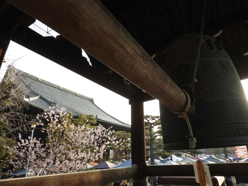 桜が始まった　三条大橋と知恩寺_e0048413_20234043.jpg