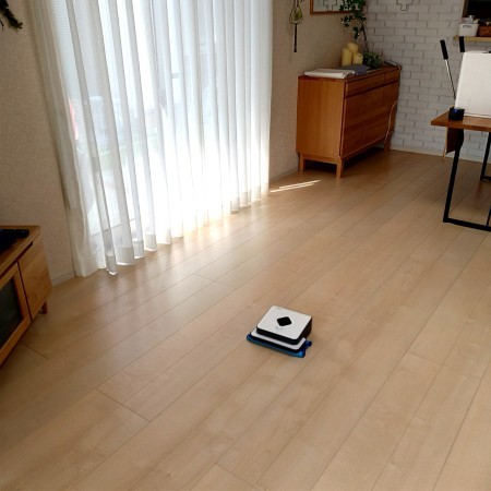 我が家にブラーバがやってきた！_e0064818_13372482.jpg