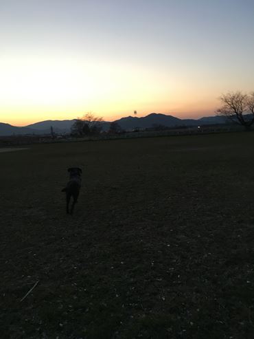 c0114121_02113.jpg