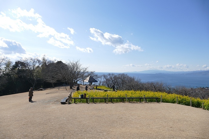 高麗山→湘南平 ＆ 吾妻山　その10_c0196928_11025449.jpg