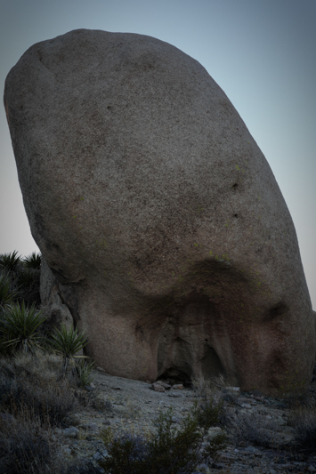 Joshua Tree National Park #3_a0291533_09265298.jpg