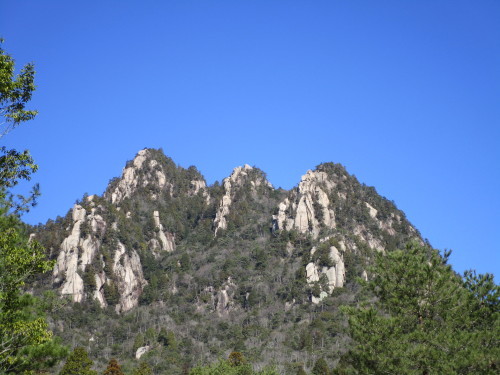 a0345833_22010783.jpg