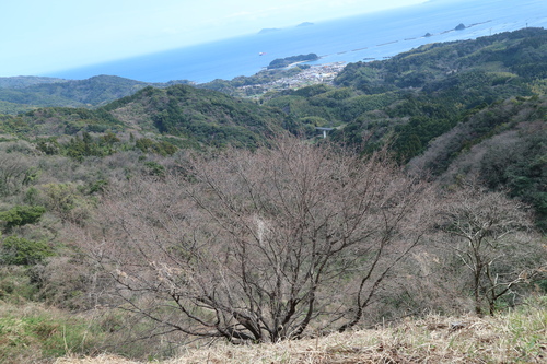 白石山＆トギシ山を歩く！（臼杵市）_e0272335_19541674.jpg