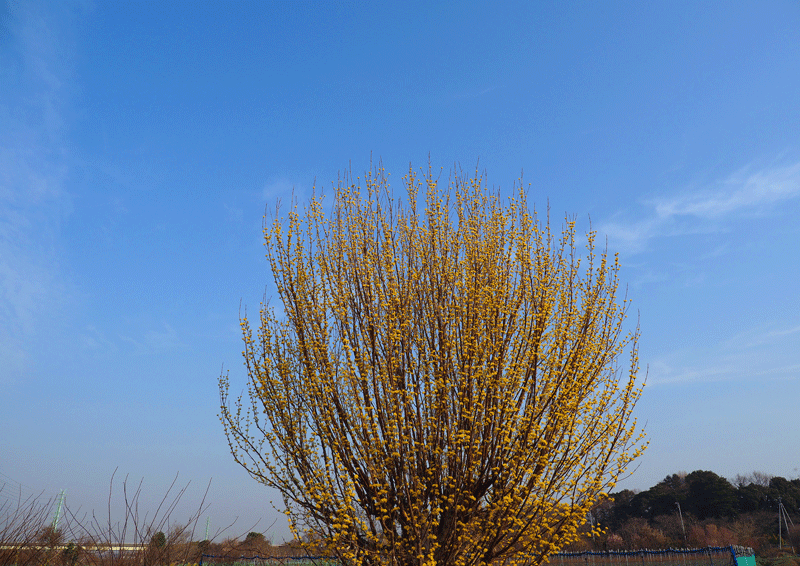 d0290240_17450144.gif