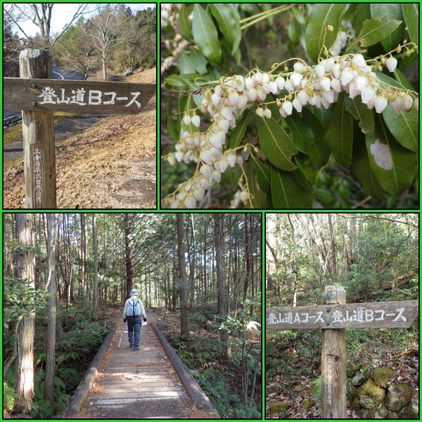 広島の山・・三倉岳へ_e0164643_15413476.jpg