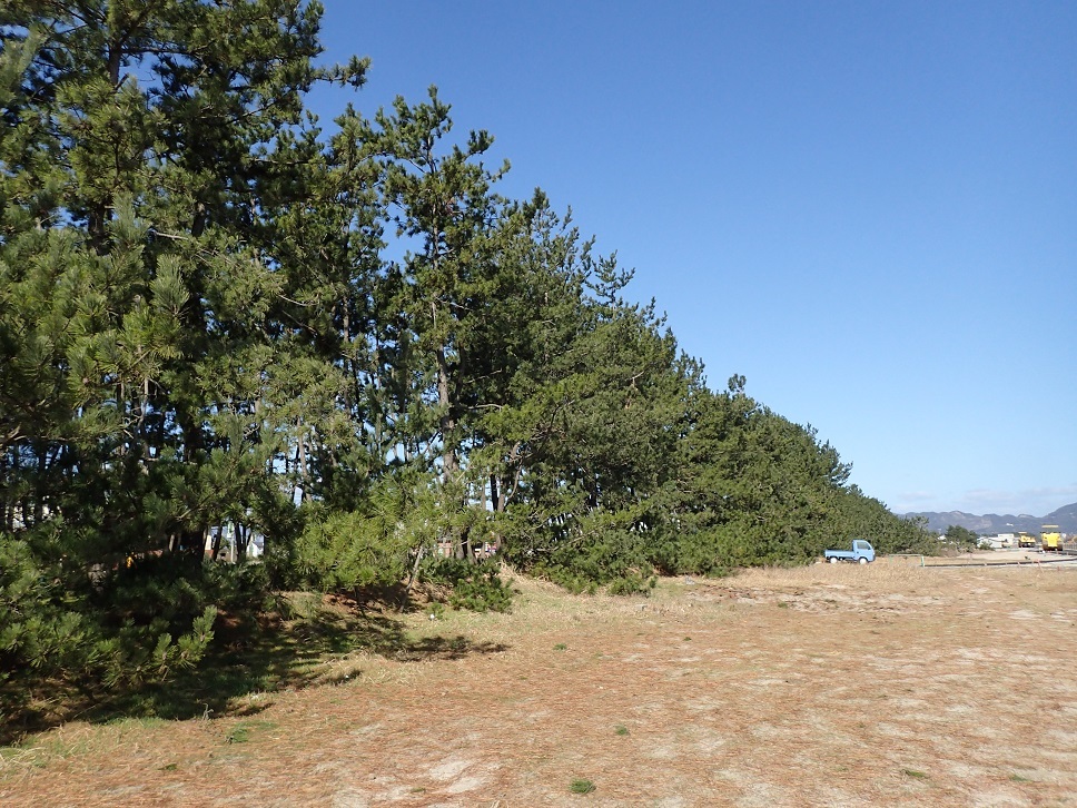 e0128144_19542028.jpg