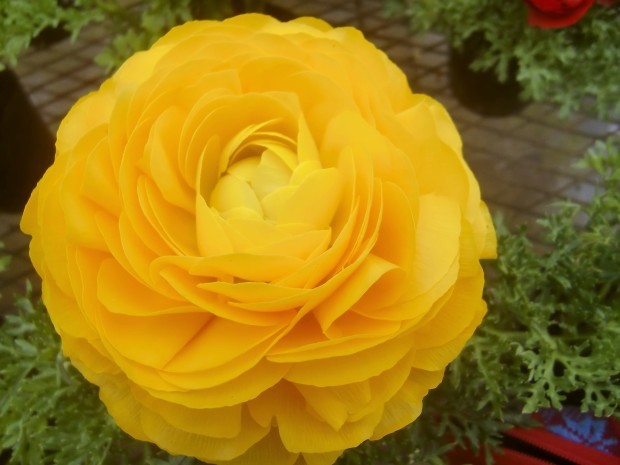 f0329849_21044645.jpg