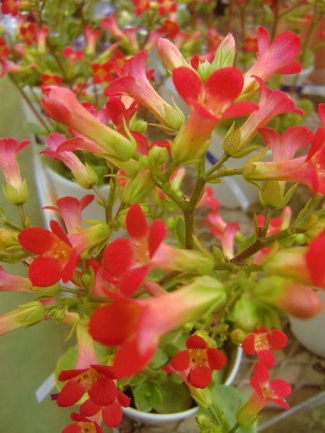 f0329849_21050659.jpg