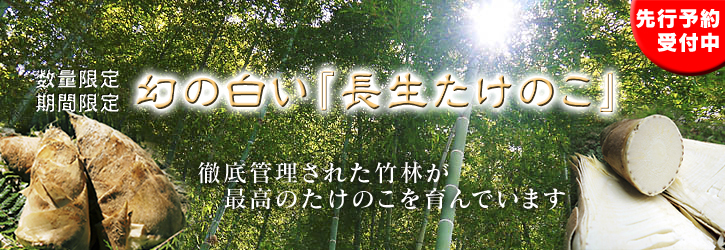 幻の白い「長生たけのこ」 平成30年度予約受付スタート!初回出荷は4月6日(金)!_a0254656_17415980.jpg