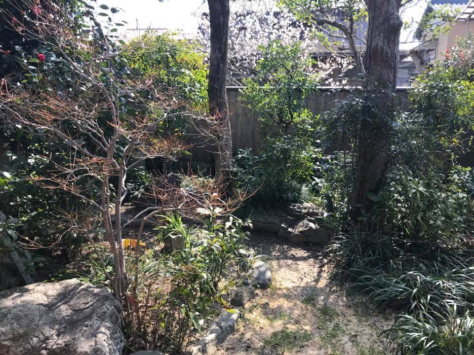 c0115560_13415188.jpg
