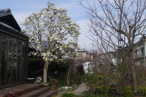 e0181373_20161070.jpg