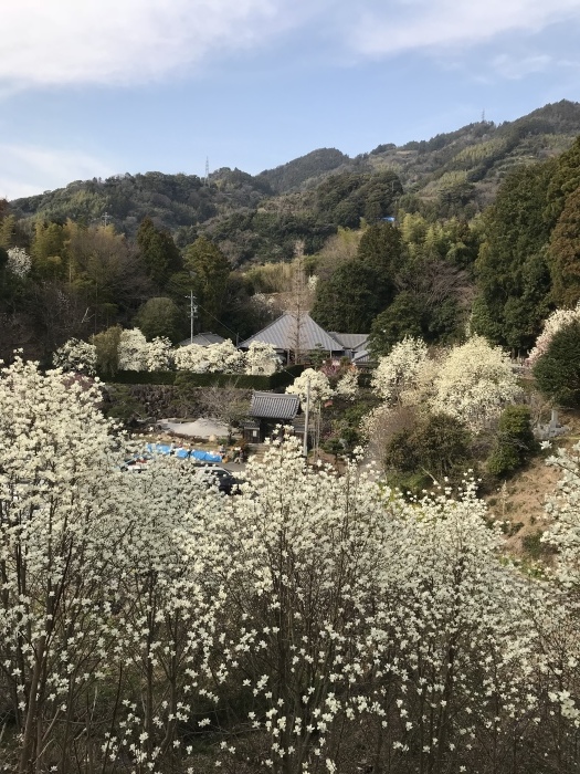 f0359673_18102232.jpeg