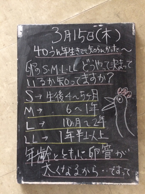 セレモニーウィーク☆_f0152875_22031135.jpg
