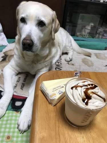 f0315081_21251028.jpeg