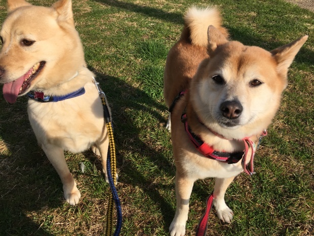 b0377882_18092847.jpeg