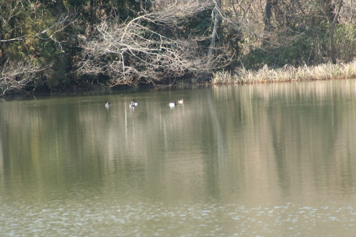 a0216583_10215917.jpg