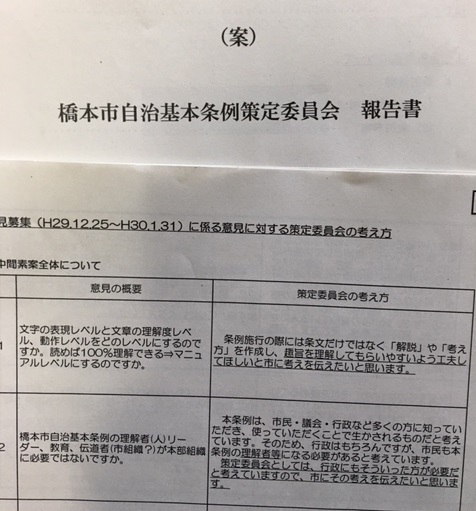 策定委員会_a0099285_08312166.jpg