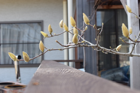 f0220087_21242455.jpg