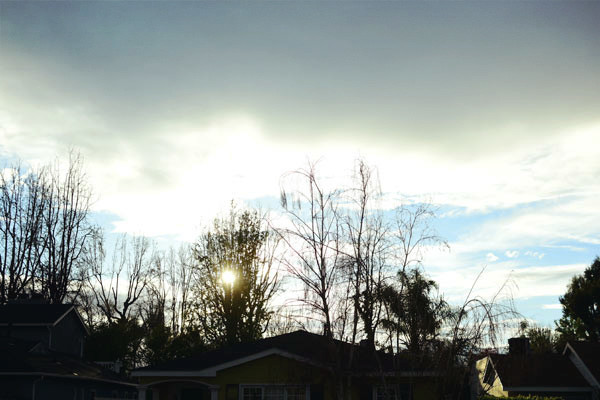 d0159690_09592245.jpg
