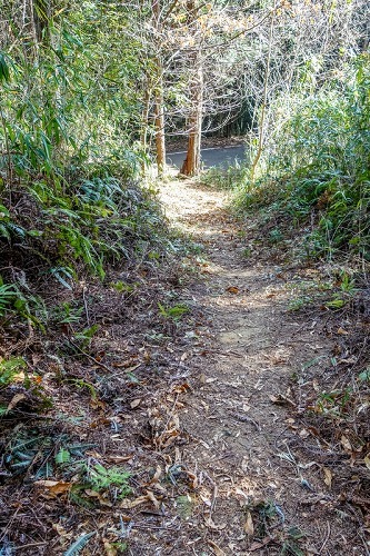 e0176993_07321522.jpg