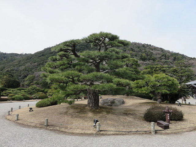 f0346196_16255345.jpg