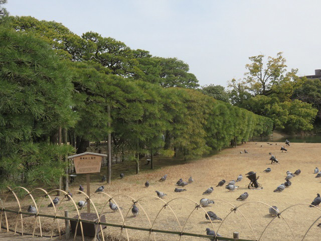 f0346196_16533277.jpg