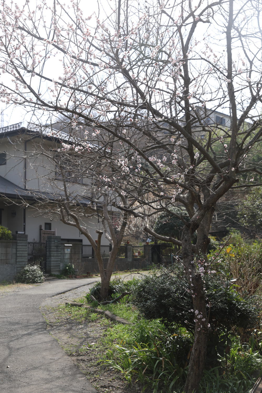 b0275998_13192353.jpg