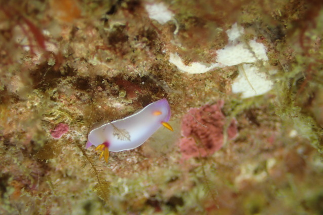 e0115199_13062350.jpg