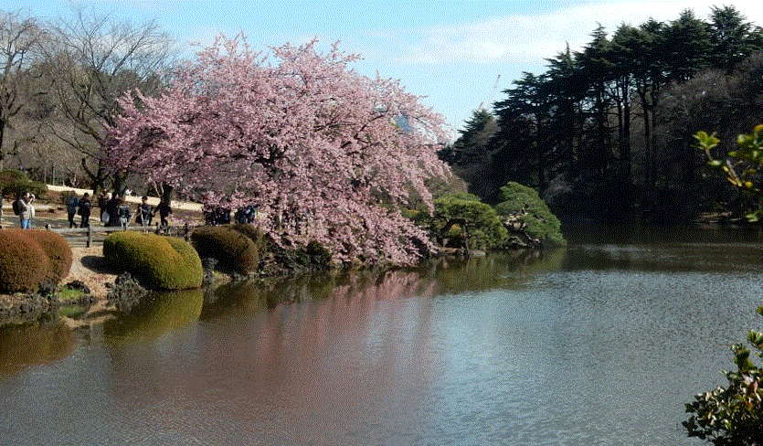 f0231709_01035604.gif