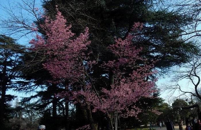 f0231709_01063813.gif