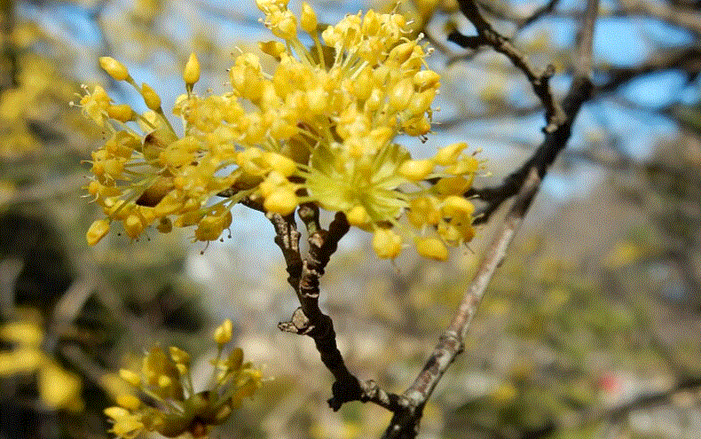 f0231709_01072636.gif