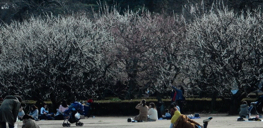 f0231709_01093294.gif