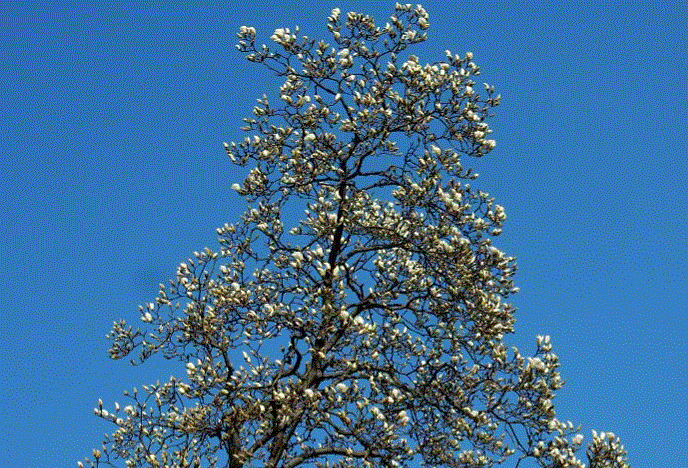 f0231709_01161829.gif