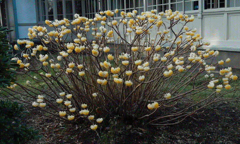 f0231709_01165757.gif