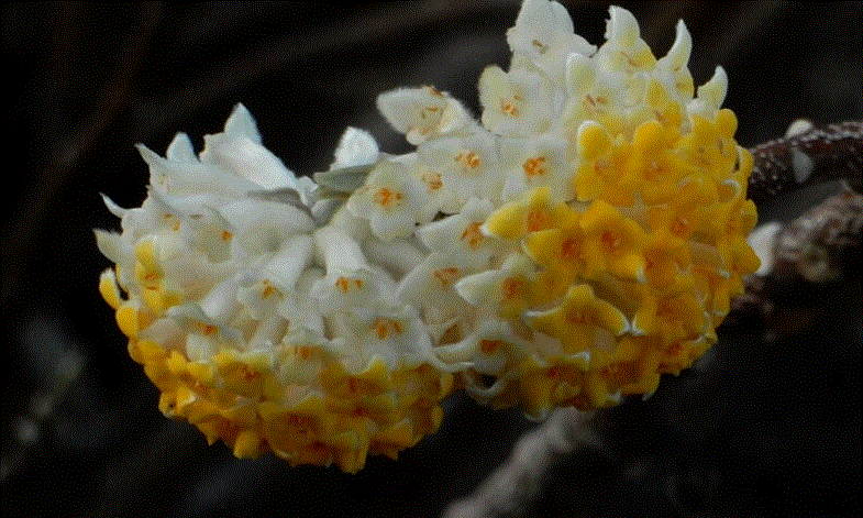 f0231709_01172113.gif