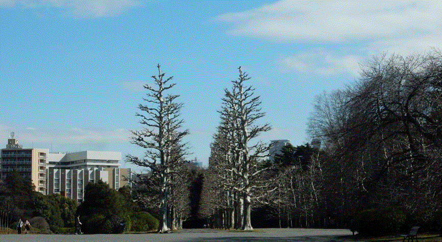 f0231709_01230434.gif