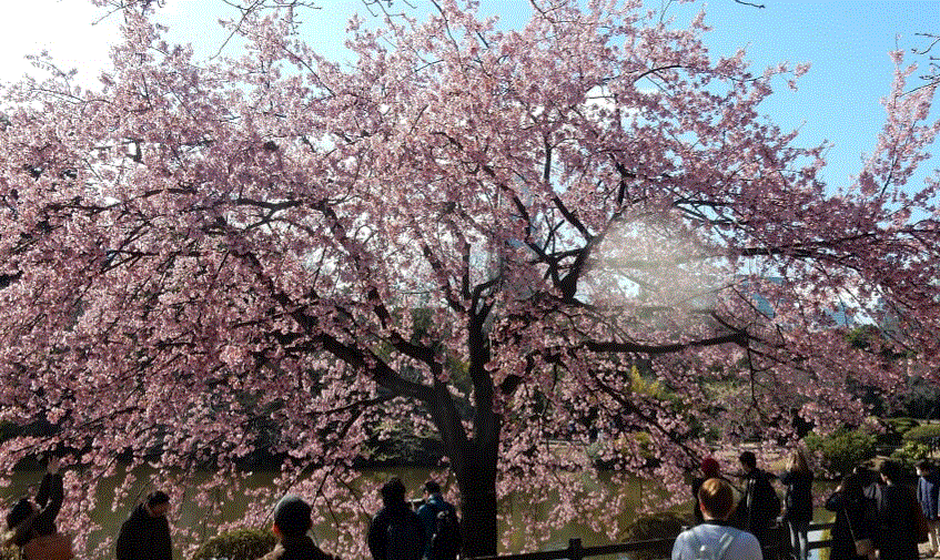 f0231709_02323176.gif