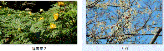 f0231709_02444875.gif