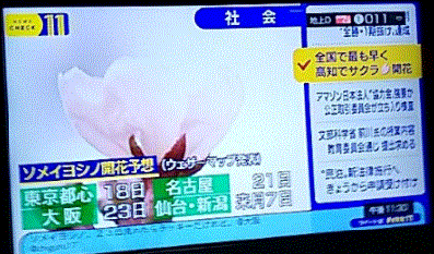 f0231709_22392187.gif