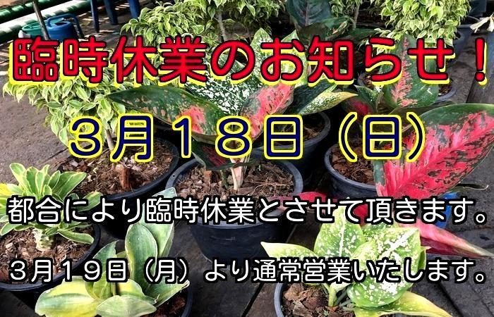 臨時休業のお知らせです！_e0254814_17180808.jpg