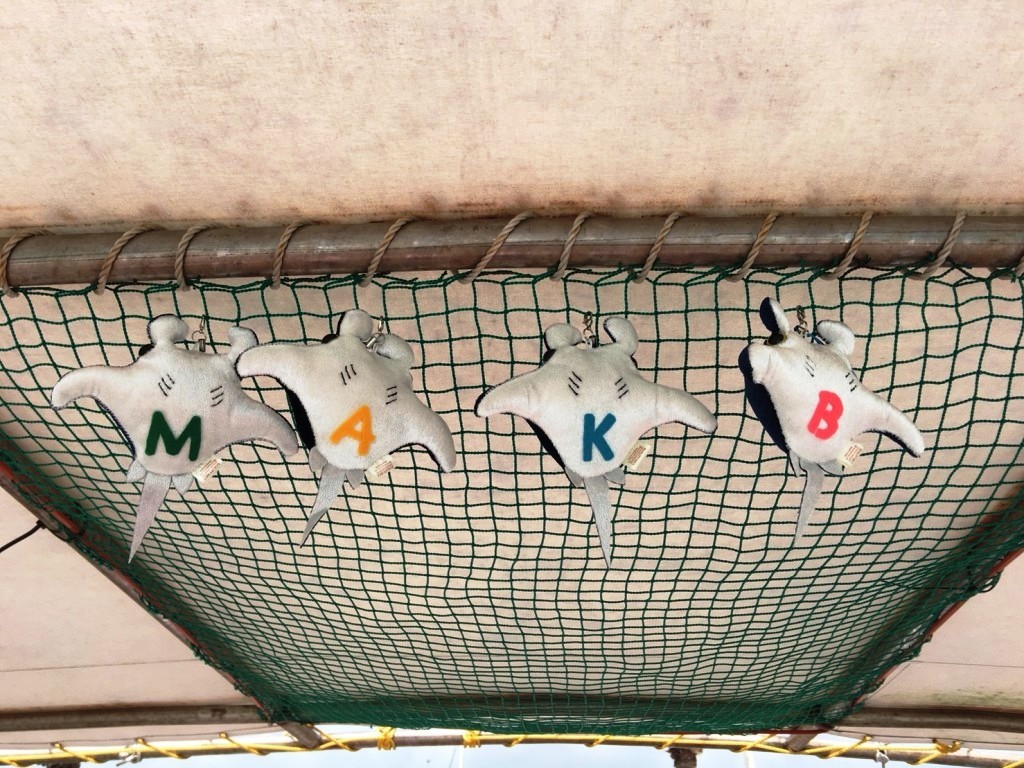 透明度最高っ\(^o^)/_a0189838_21255805.jpg