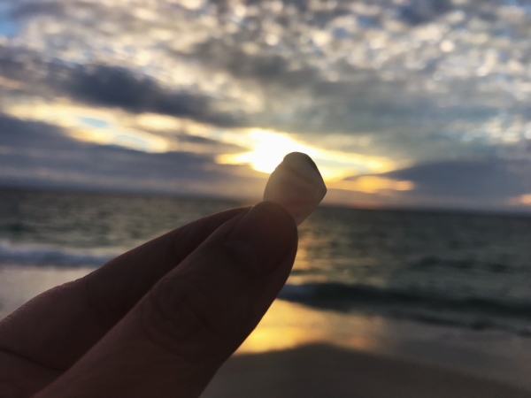 f0304452_20355567.jpeg