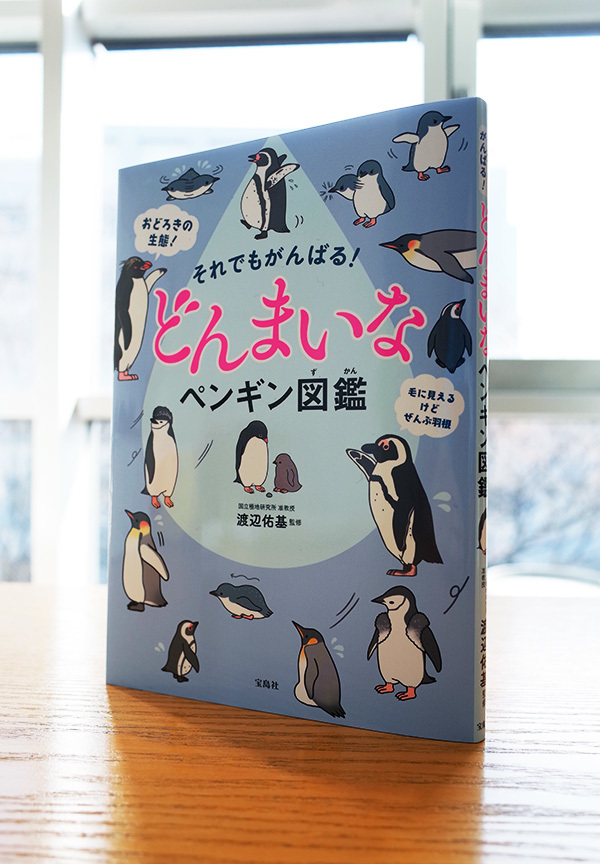 WORKS_book『それでもがんばる! どんまいなペンギン図鑑』_c0048265_20432981.jpg