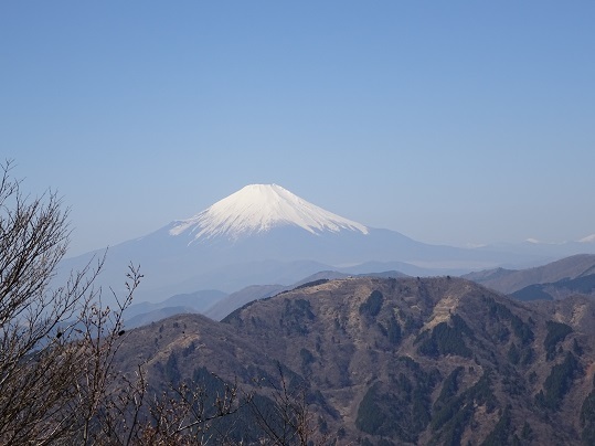 早春の丹沢大山を歩いてきた_c0273271_14252094.jpg