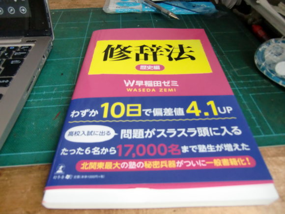 全ての試験は文を読むことから始まる(AI読みと修辞法)_a0344573_08310690.jpg