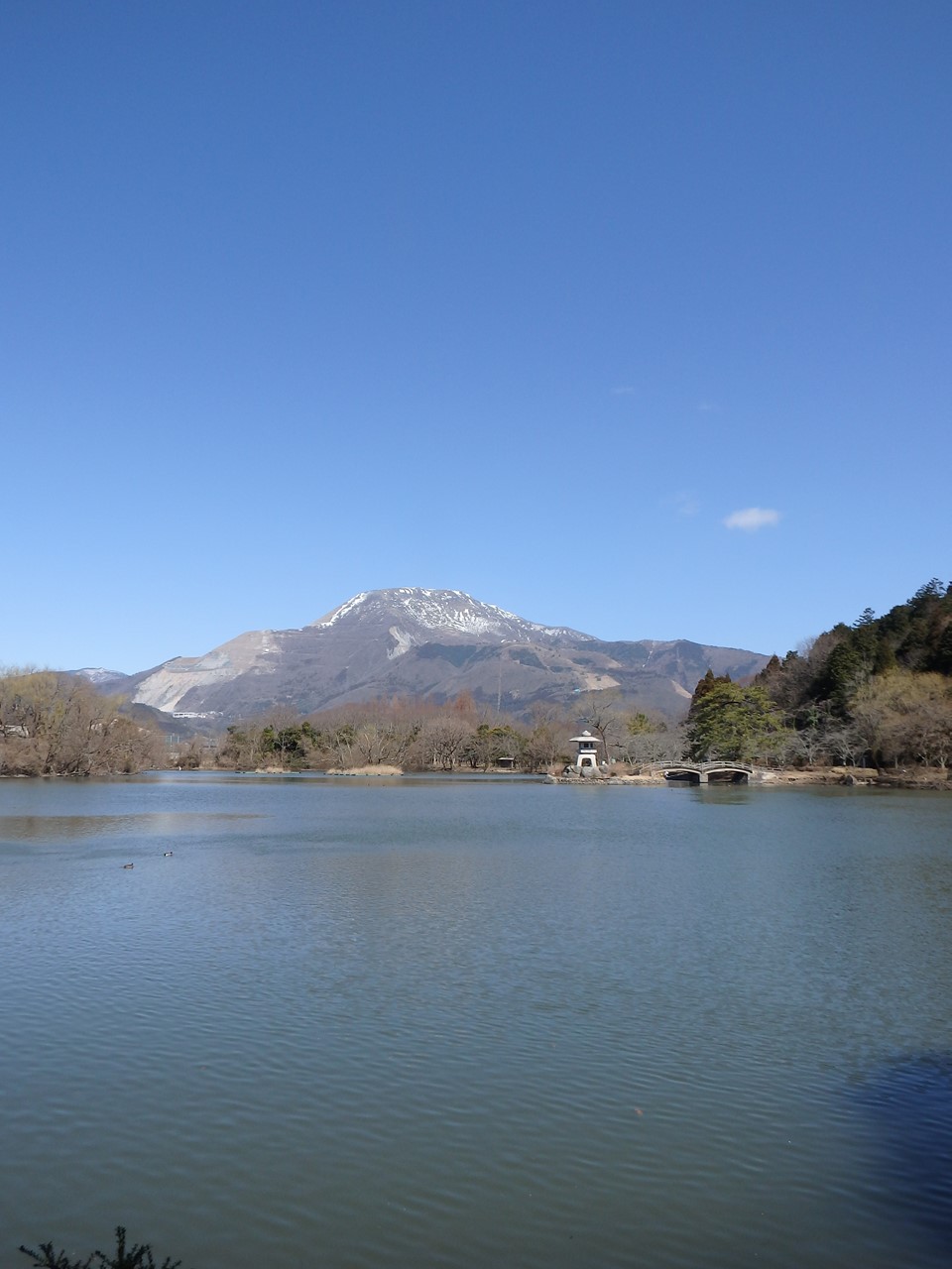 d0054276_203692.jpg