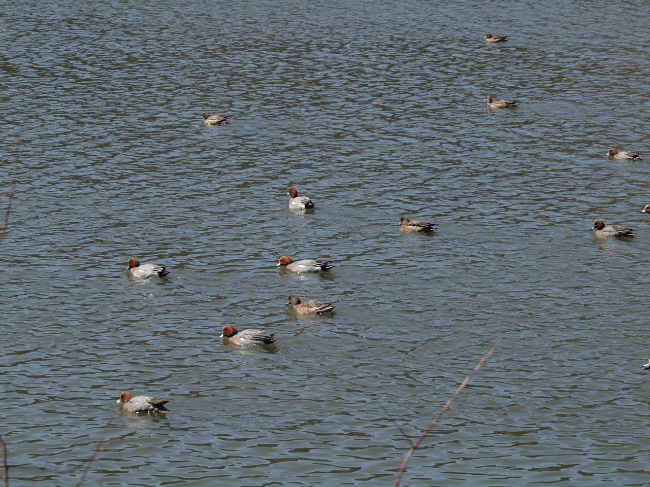 d0054276_2040549.jpg